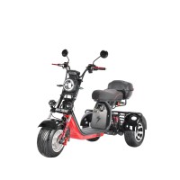 Трехколесный электроскутер CityCoco WHITE SIBERIA pro 3000W TRIKE+ черный